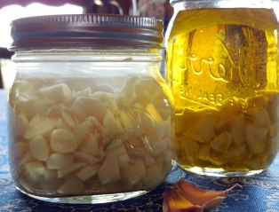 kā lietot tinktūra